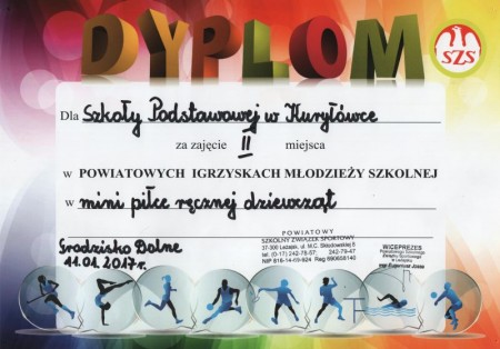 PIMSz w piłce ręcznej